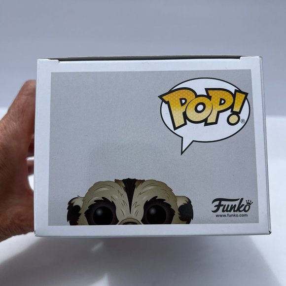 Funko POP Disney The Lion King - Timon (Flocked) #549 Barnes & Noble Exclusive - Picture 6 of 7